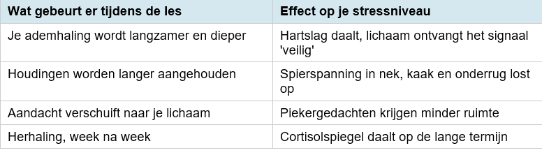 Hatha Yoga tegen stress