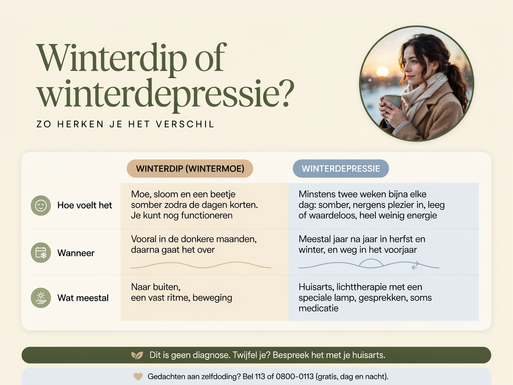 Wintermoe en geen energie